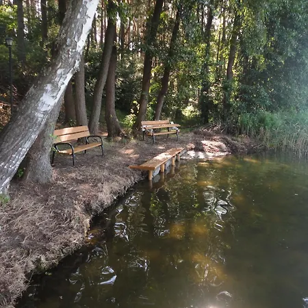 Osrodek Wypoczynkowy Jaszczurka *