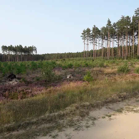 Osrodek Wypoczynkowy Jaszczurka