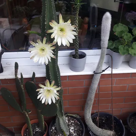 Prázdninový dům Osrodek Wypoczynkowy Jaszczurka