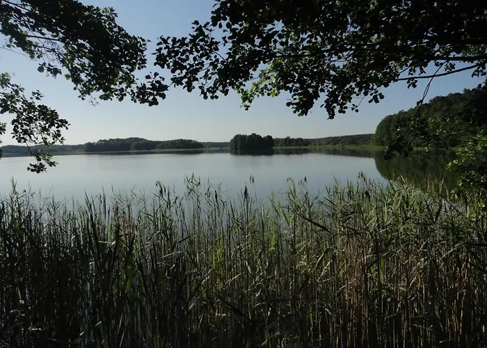 Osrodek Wypoczynkowy Jaszczurka Сasa de vacaciones *