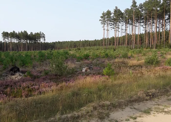 Osrodek Wypoczynkowy Jaszczurka