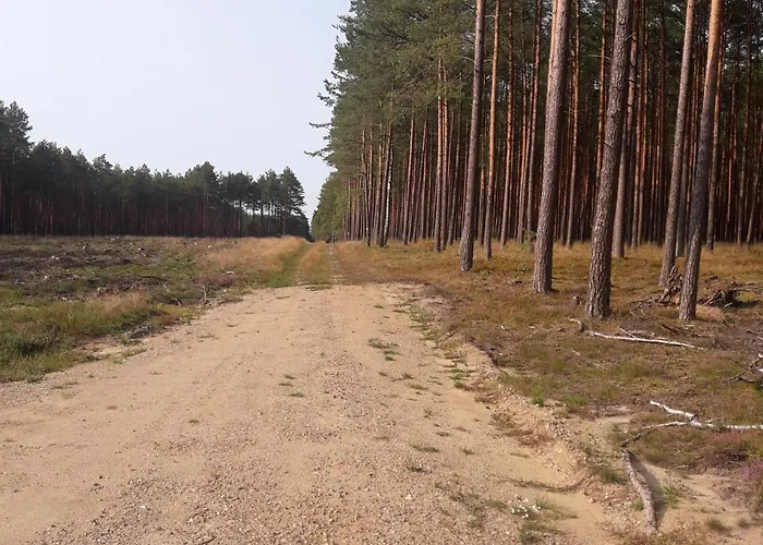 Osrodek Wypoczynkowy Jaszczurka Сasa de vacaciones Ocypel