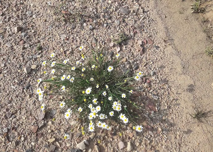 Osrodek Wypoczynkowy Jaszczurka