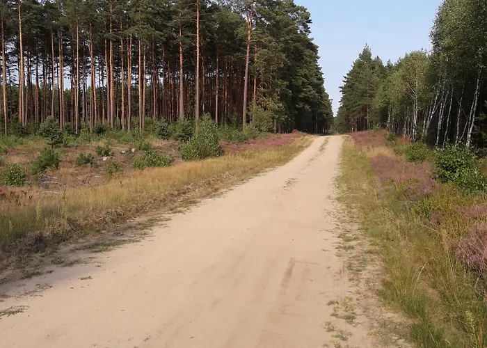 Сasa de vacaciones Osrodek Wypoczynkowy Jaszczurka Ocypel